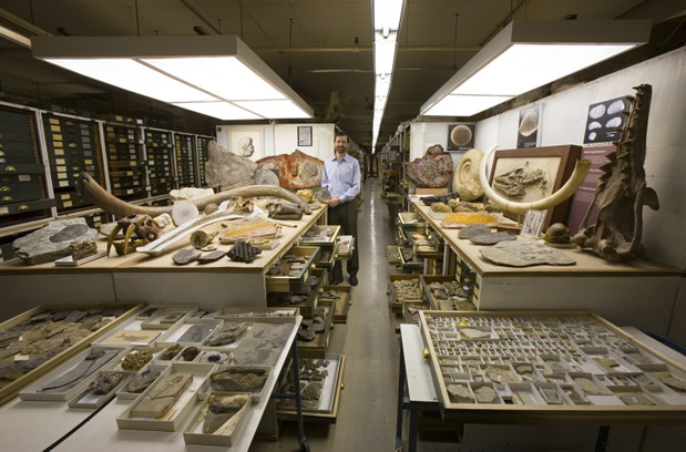 Niezwykłe zdjęcia z Muzeum Historii Naturalnej