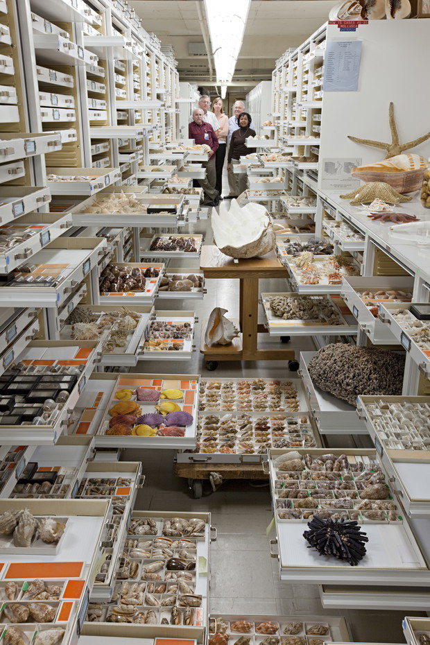 Niezwykłe zdjęcia z Muzeum Historii Naturalnej