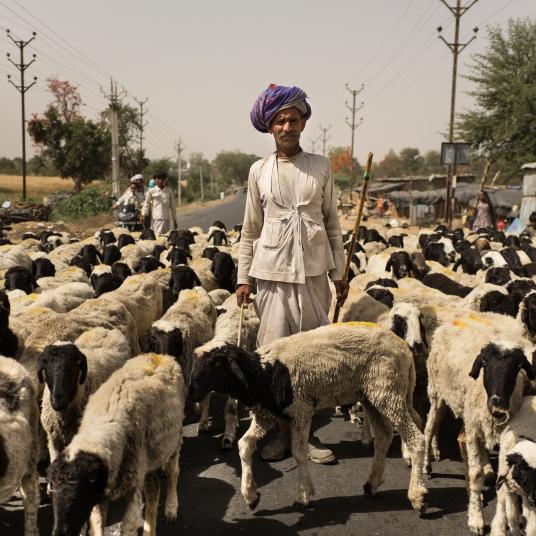 paley-india-highway-walkers-01.adapt.536.1