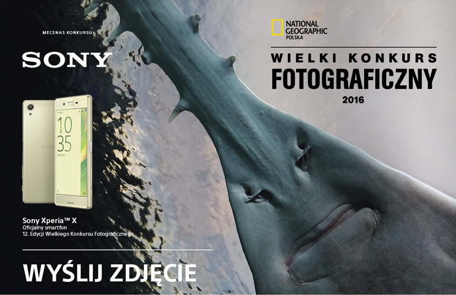 wielki konkurs fotograficzny