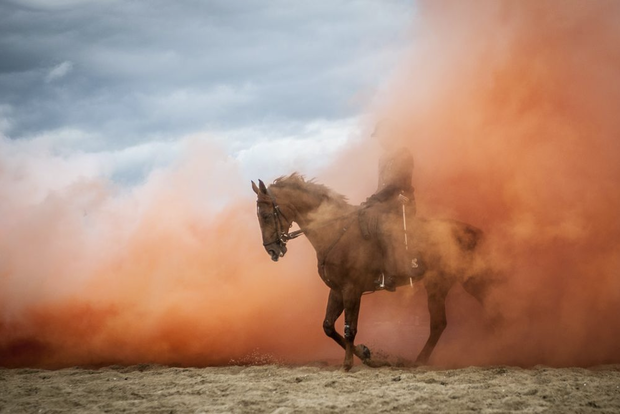 Konie na zdjęciach fotografów National Geographic