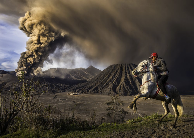 Konie na zdjęciach fotografów National Geographic