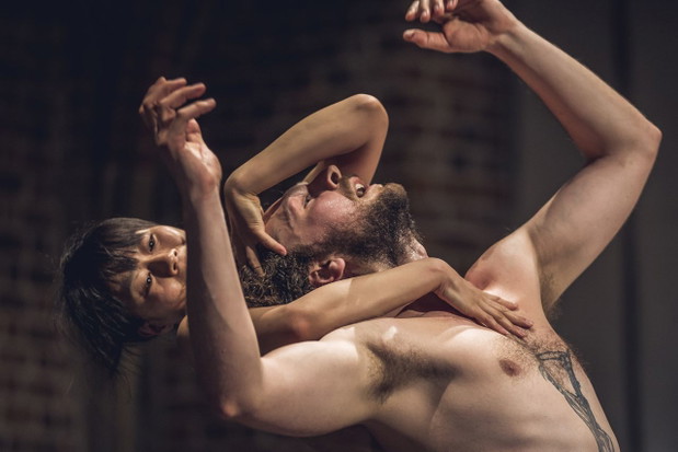 Rzucili wszystko by grać z polskim teatrem