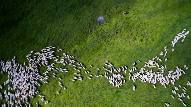 Dronestagram