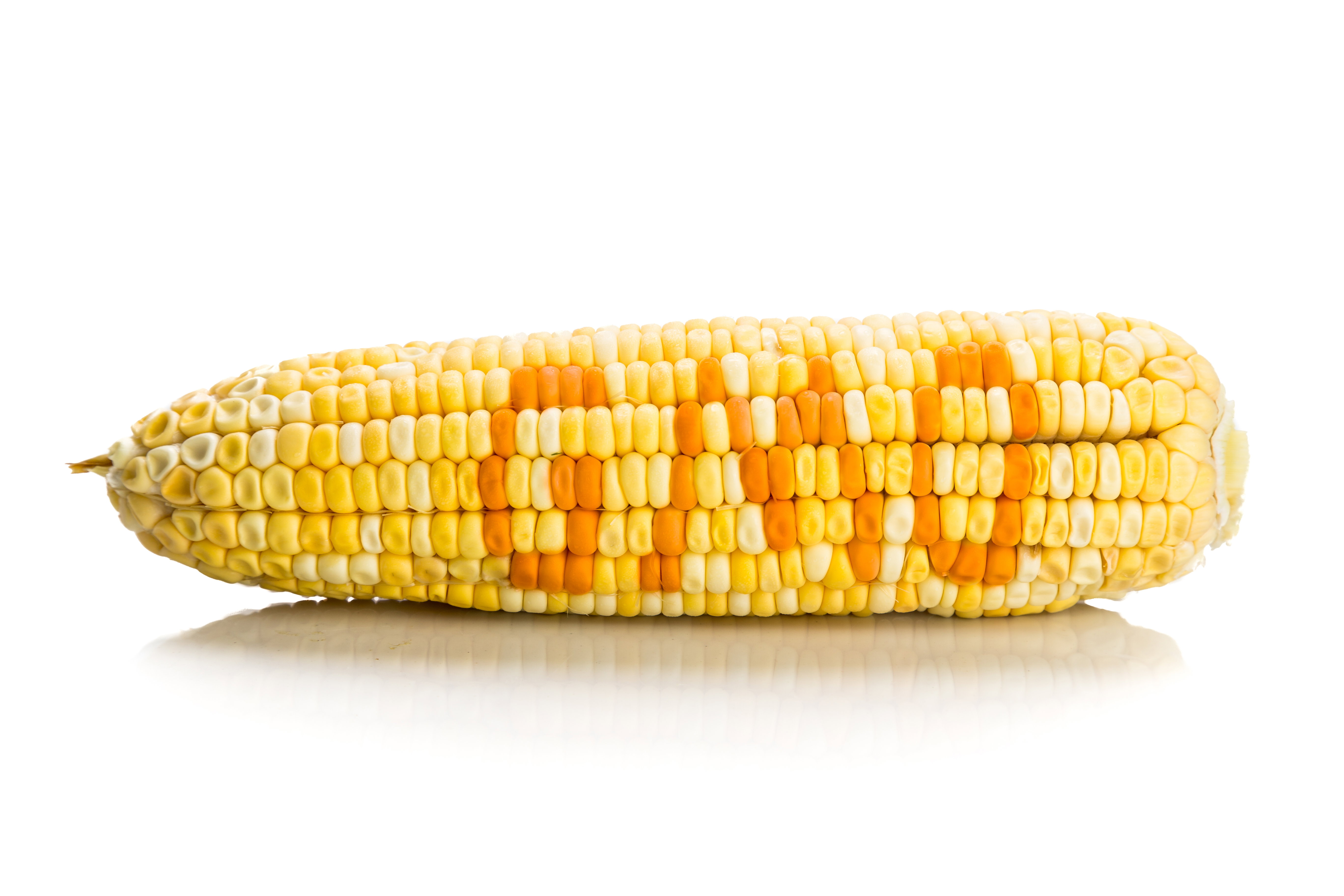 Nobliści do ekologów: "Przestańcie atakować GMO!"