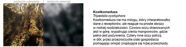 dd9c557c5f3c4937a757ba86f2f5709d37e230f8-9d0fb66