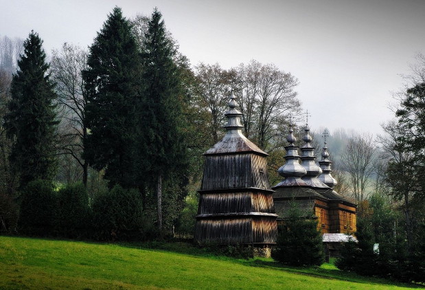 2. Rzepedź