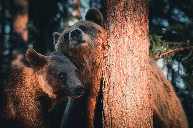 Piękno natury w ujęciu młodego fotografa z Finlandii