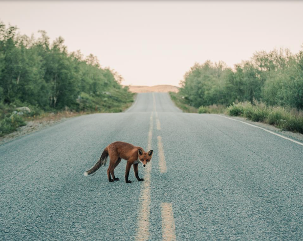 Piękno natury w ujęciu młodego fotografa z Finlandii