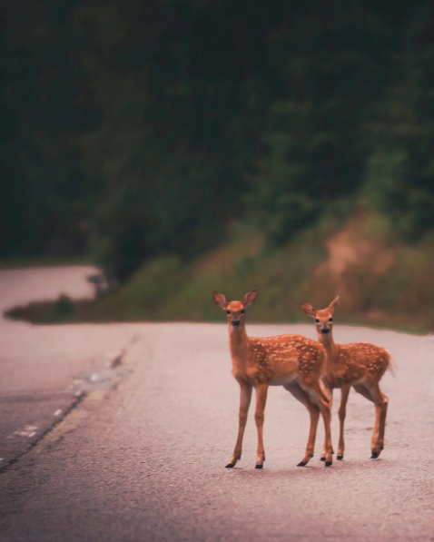 Piękno natury w ujęciu młodego fotografa z Finlandii