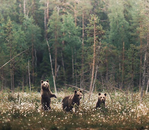 Piękno natury w ujęciu młodego fotografa z Finlandii