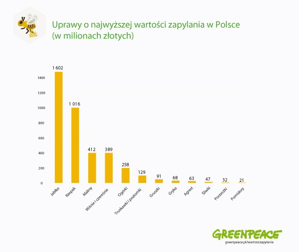 Zobacz jak bardzo opłacają się pszczoły