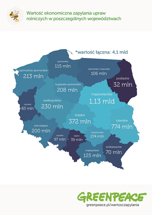 Zobacz jak ważna jest rola pszczół w gospodarce Polski