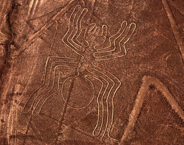 rysunki-z-nazca1-a416985