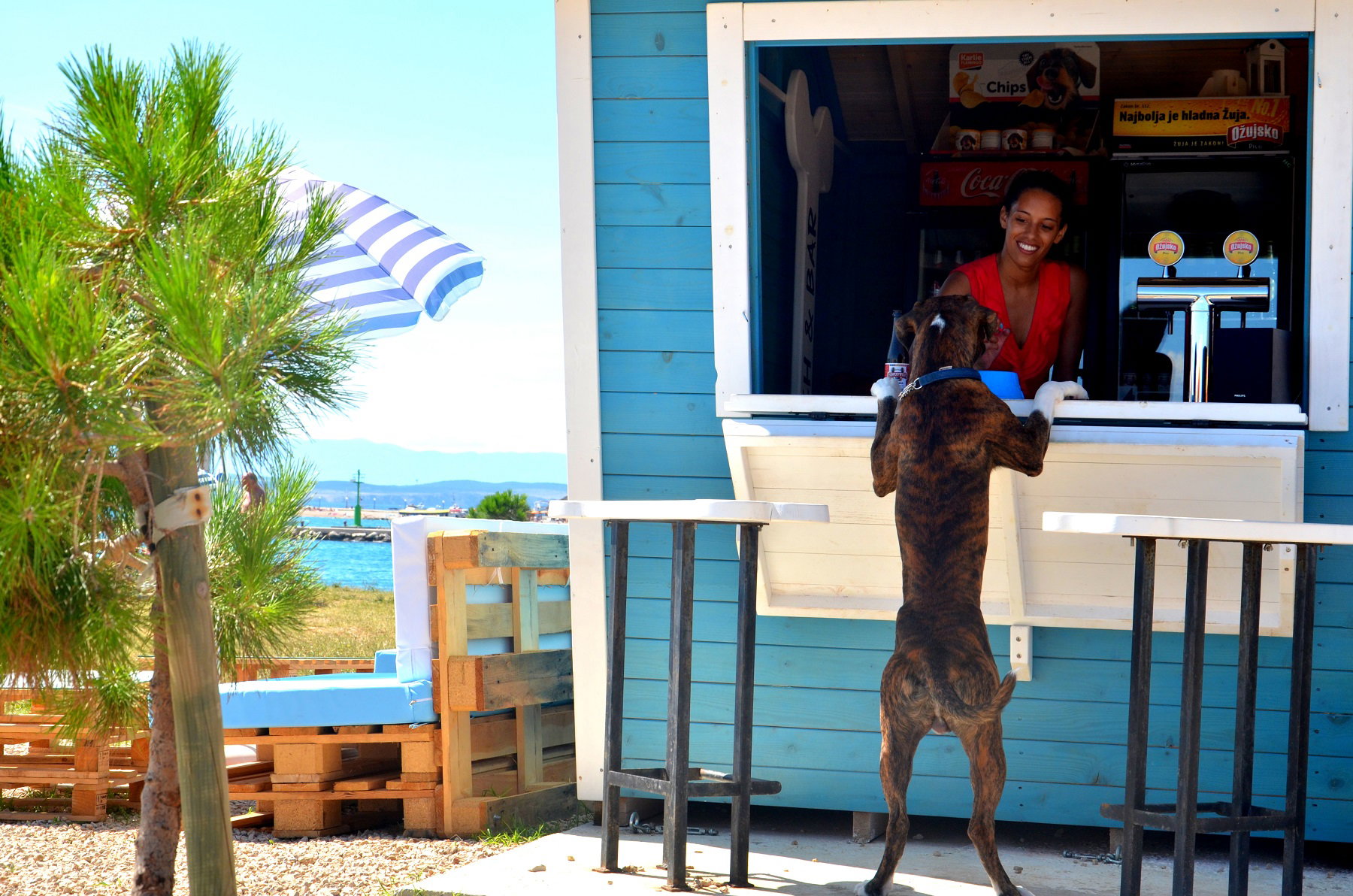 Crikvenica - bar i plaża przyjazne psom