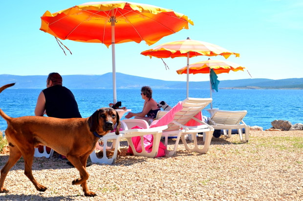 Crikvenica - bar i plaża przyjazne psom
