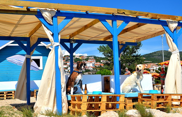 Crikvenica - bar i plaża przyjazne psom