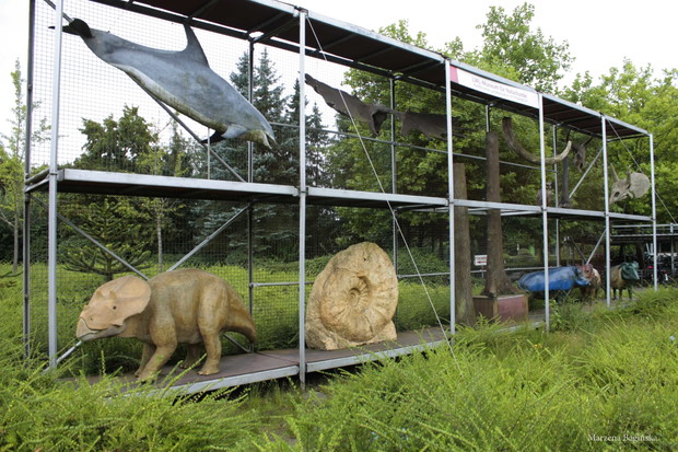 Wokół Muzeum Przyrody