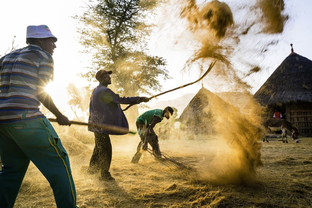 Etiopia