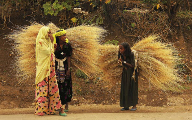 Etiopia