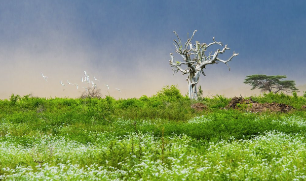 Etiopia