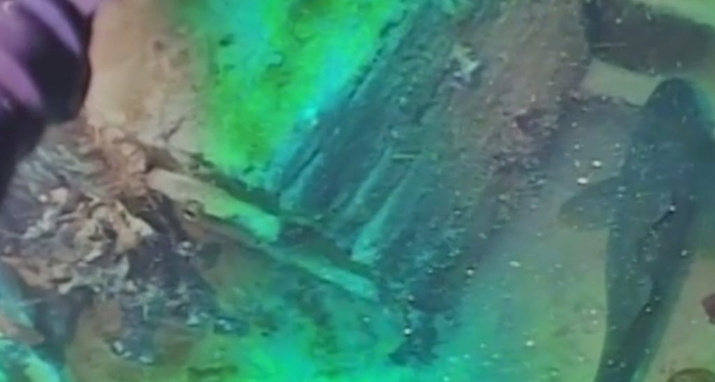 Tego nikt się nie spodziewał. Statek HMS "Terror" odnaleziony po prawie 170 latach