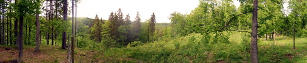 2. Trójmiejski Park Krajobrazowy