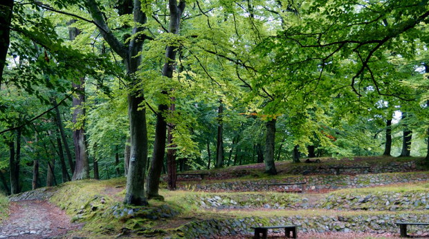 3. Las Bażantarnia w Elblągu