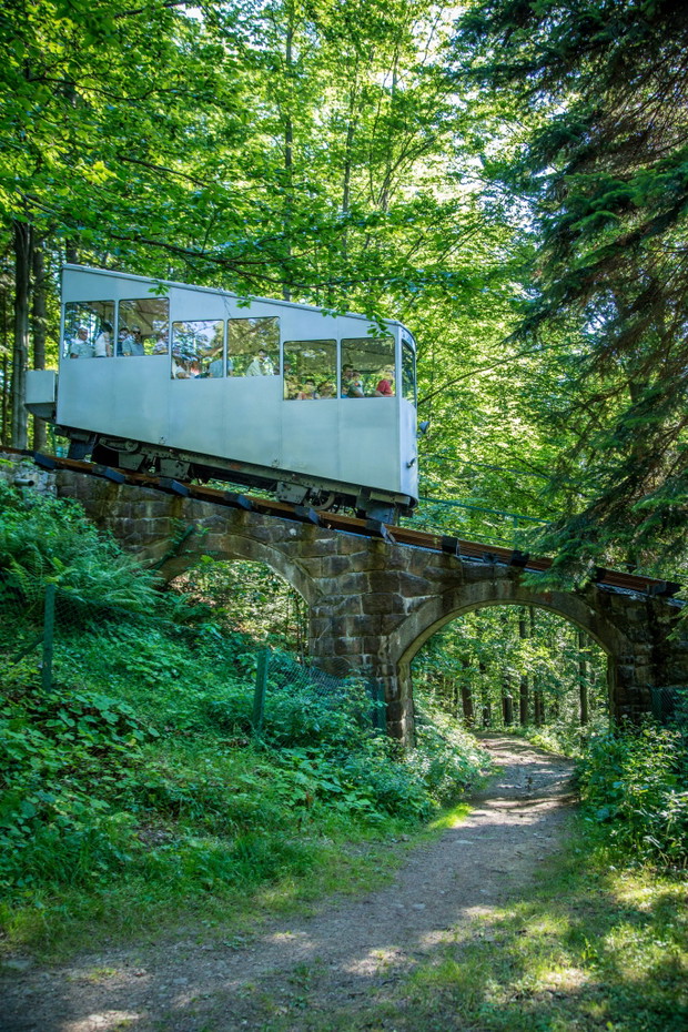 6. Góra Parkowa i Park Zdrojowy