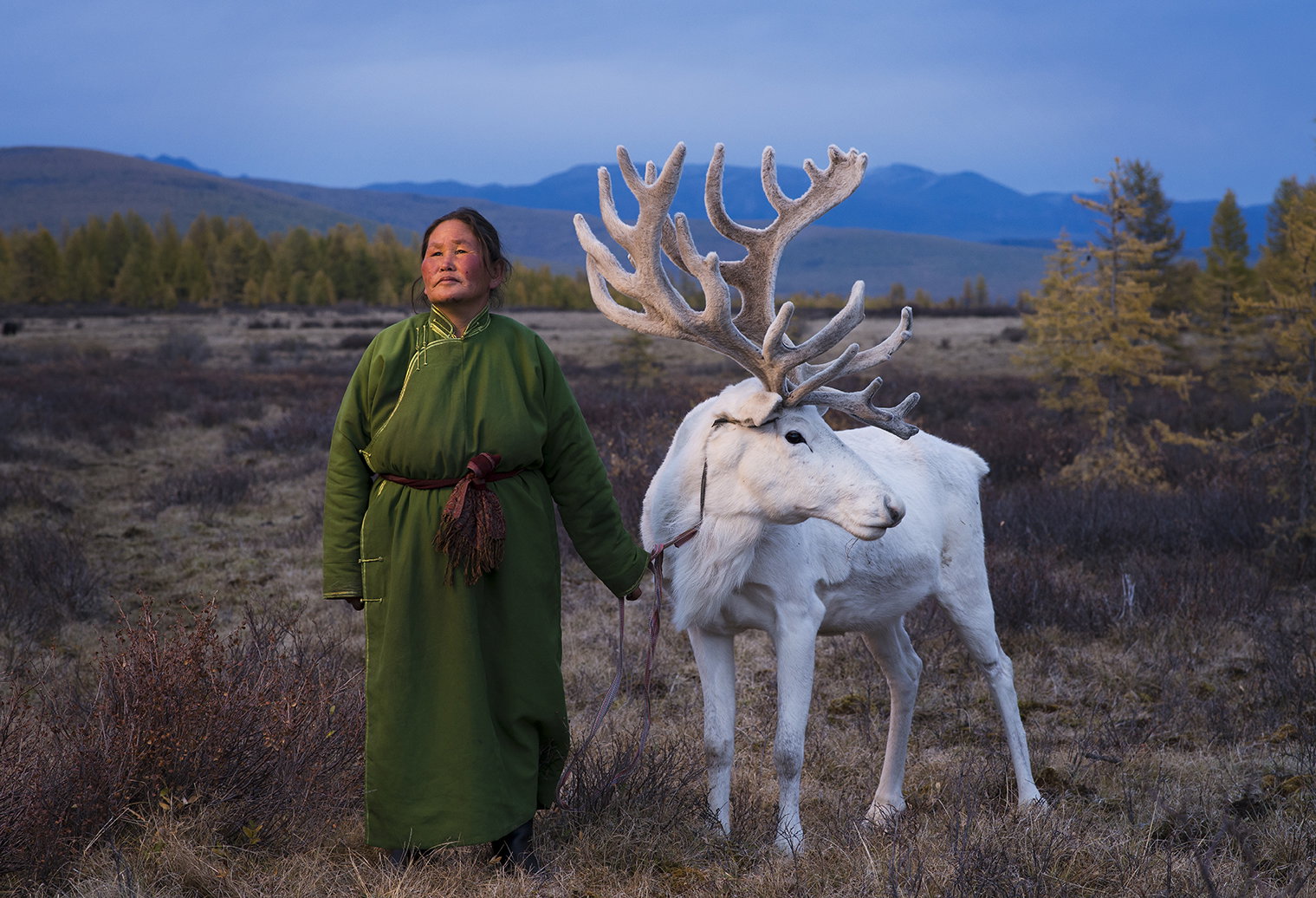 Tsaatan