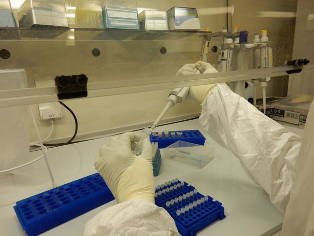 Odnaleziony w Londynie grób kryje sekret czarnej śmierci? Badania DNA to sprawdzą