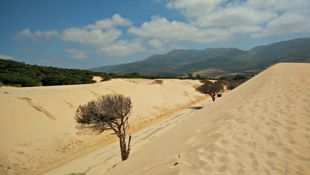 Punta Paloma - między wydmami