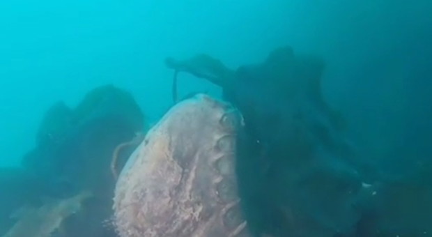 Tego nikt się nie spodziewał. Statek HMS Terror odnaleziony po prawie 170 latach