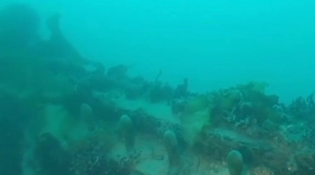 Tego nikt się nie spodziewał. Statek HMS Terror odnaleziony po prawie 170 latach