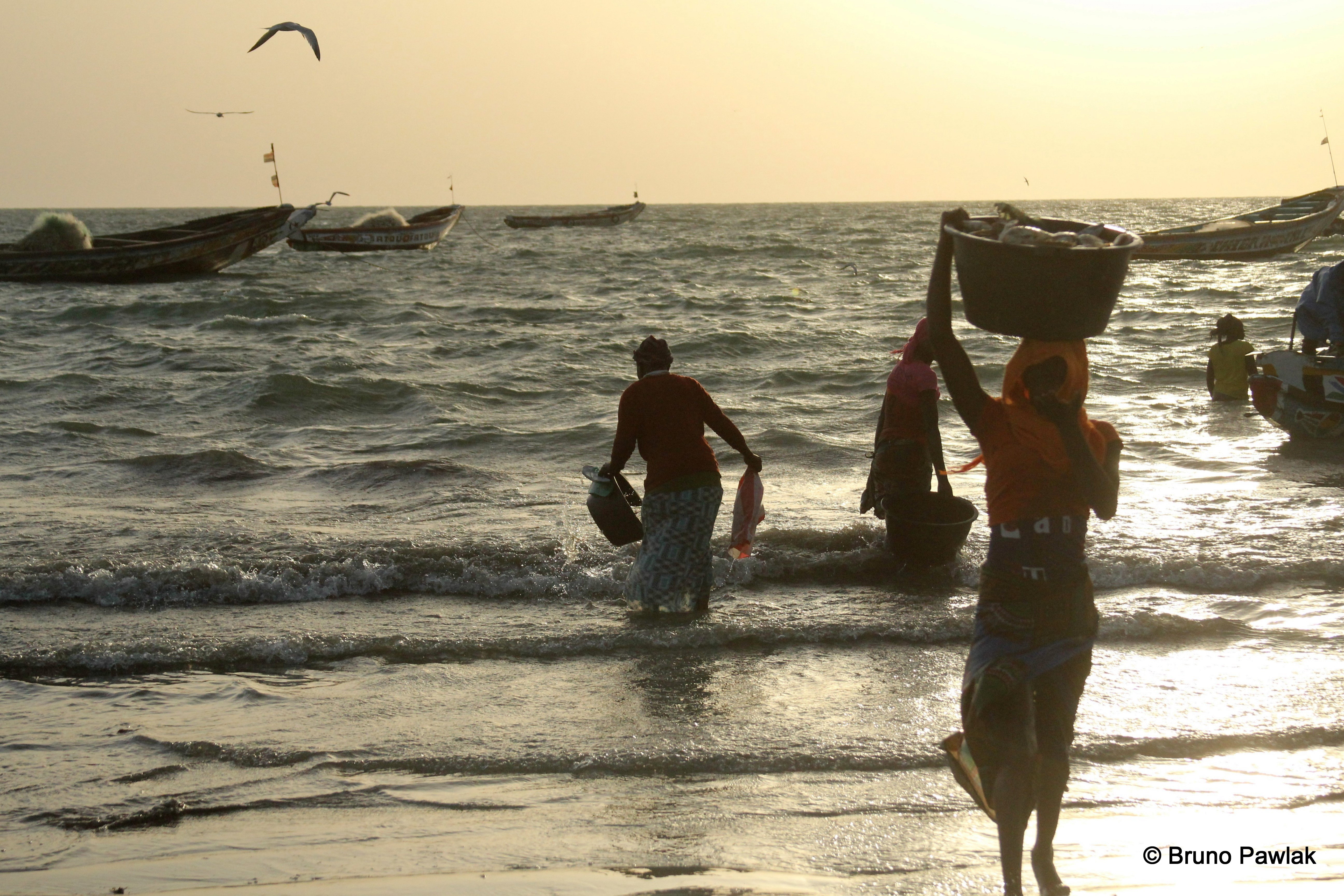 Gambia od podszewki