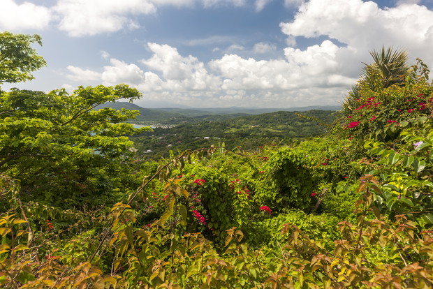 7. Okolice Ocho Rios