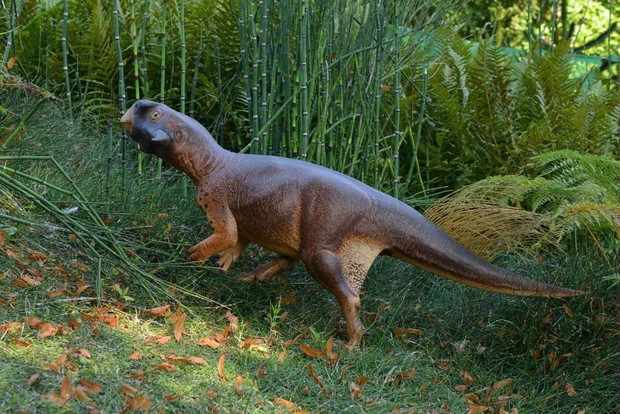 Kamuflaż dinozaurów