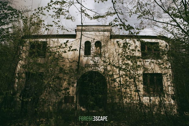 #4 Forest Escape, Wola Zaradzyńska. Las pełen tajemnic