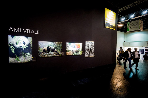 Fotografia w ostatniej dekadzie przeszła trzęsienie ziemi - relację z targów foto-filmowych PHOTOKINA w Kolonii