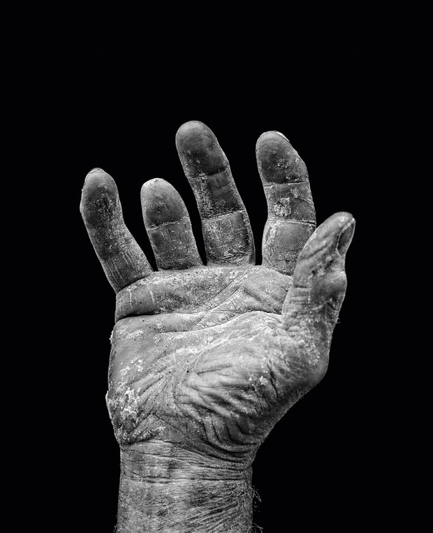 A Show of Hands