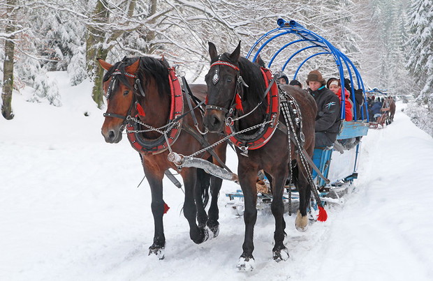 Beskid Śląski, Dolina Białej Wisełki