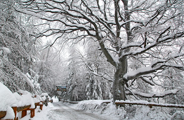 Beskid Śląski, Równica