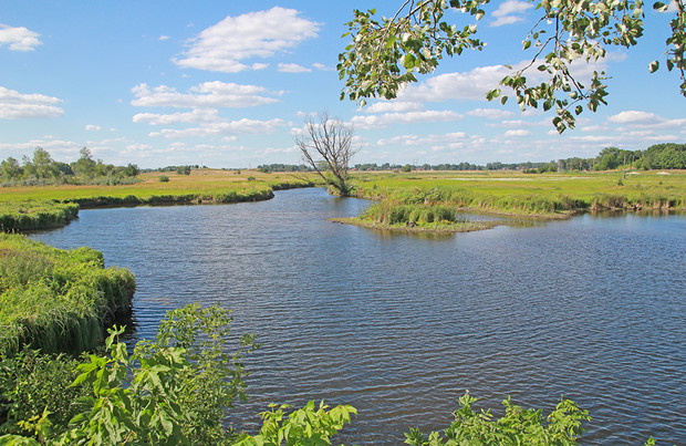 Ponidzie, Wiślica