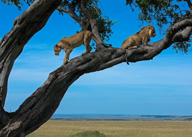 Vantage Point