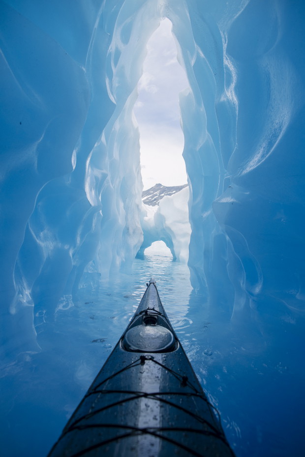Alex Strohl