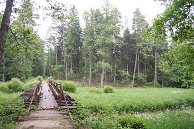 Porytowe Wzgórze