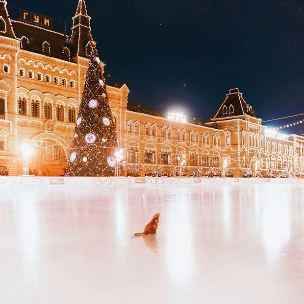 Baśniowa Moskwa w czasie zimy