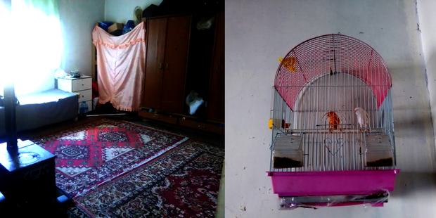 Ptaki w klatce - Mohamad