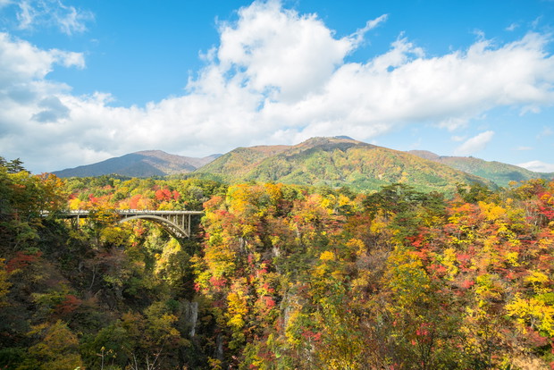 Japonia