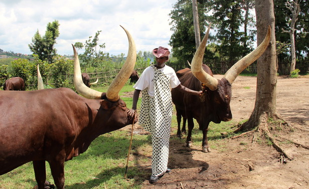 Rwanda